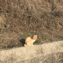 충무여관 | 3월 🌿💭