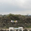 더 평대 | 제주 동쪽 맛집으로 추천하는 평대앓이 기념일 레스토랑