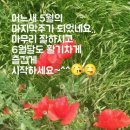 꽃사람 이미지