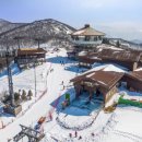 하이원카서비스 이미지