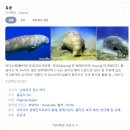 200-2-000006 | 필리핀 팔라완섬 (코론, 엘니도, 푸에르토프린세사) 기본 여행 정보! (P의 여행계획 / J 속터짐 주의)