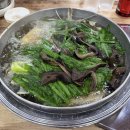 금촌 | 파주 백숙 몸보신 제대로 하고 온 금촌능이버섯백숙 후기