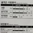 한숲PT 이미지