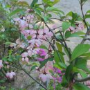 곡성-053 이미지