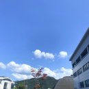 체육쎈타카페테리아
