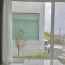 판포3355 이미지