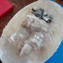 소문난자연산횟집 이미지