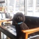 젠동물병원 이미지