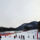 고타야 포레스트 | 지산리조트 렌탈샵 브라더스 스키장 리프트권까지 알차게