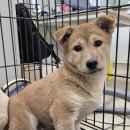 묵현1리 이미지