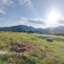 거제시청 내 이미지