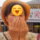 성공을 돕는 마켓 | 주말 괴산 별별락장 프리마켓 참여 후기 도테라 아로마테라피로 마음을 나눈 시간