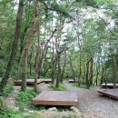 오도산 자연휴양림 이미지