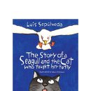 대구중구영어도서관 이미지