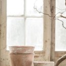 네츄럴하우스 이미지