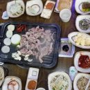 황금오리 이미지