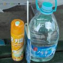 연이도반한삼겹살 | 난지캠핑장 후기/난지 물놀이장/조개구이/바베큐/난지 수영장/캠핑요리