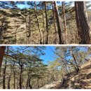 (주)대경정비 | 울진 응봉산 겨울 마지막 산행 2.-퇴임 마지막주 , 금강송, 덕구온천, 세계 각국의 다리- 2022.02.27...