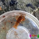 자연과함께 이미지