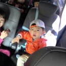 초안산 유아숲체험장 이미지