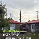 큰소낭 작은돌집 | 제주 경매 매물 임장: 바다 도보 5분 시골집 감성 구좌읍 돌집