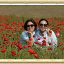 미영이네농장 이미지