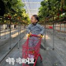 여주-0480 이미지