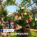 온그라운드짐 | 시드니 브런치 카페 그라운드 오브 알렉산드리아 구경