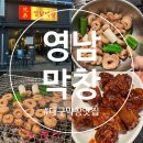 종로불닭 | 대구 종로 막창 맛집 웨이팅 없이 방문한 후기 [영남막창] 막창 불꼬리 추천