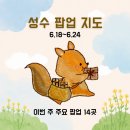 [공지] 2026년 6월 3주차 성수 팝업 지도｜주요 팝업 14개 포함 성수 70개 팝업 총정리