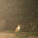 제주 감성 자쿠지 민박 무릇 | 제주숙소 한경면 독채 자쿠지 감성숙소 무릇