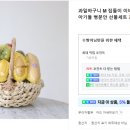 면목과일 이미지