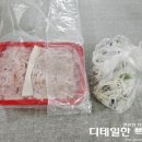 영덕전문장례식장 | 청진수산 참가자미 물가자미 막회 택배후기 / 푸짐하고 고소해서 추천
