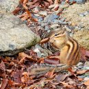 마리포사모텔 이미지