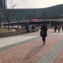 [케이펫페어 일산] 소박하게 다녀온 후기 (2019.11.23)