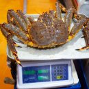 대신수산 이미지