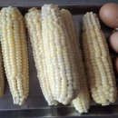 간단한 점심 이미지