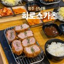 산남동 돈까스 맛집 히로스카츠 산남점 혼밥 하기 좋은 식당 내 돈 내산 후기