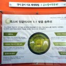 스마트폰&인터넷기초(수) 이미지