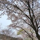 개in공간 이미지