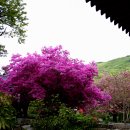 남도뜨락 이미지