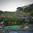 명산횟집 이미지