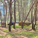 솔밭매점 이미지