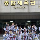 용인 신일 태권도장 이미지