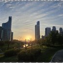 슬기로운부동산공인중개사사무소 이미지