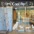 쿨펫동물병원광교