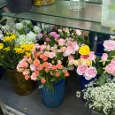 예림화원 이미지