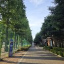 금정체육공원_축구장 이미지