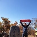 경북청과 이미지