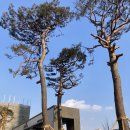 고덕초등학교 건너편 이미지